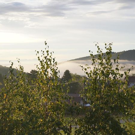 Gites Du Taennchel Thannenkirch Ngoại thất bức ảnh